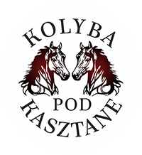 Najdłuższe kuligi w Wiśle / kuligi-wisla.com